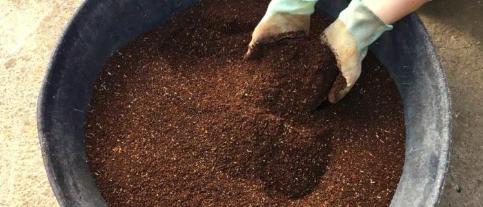 barreño con compost