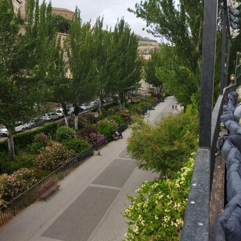 paseo de ciudad con vegetacion
