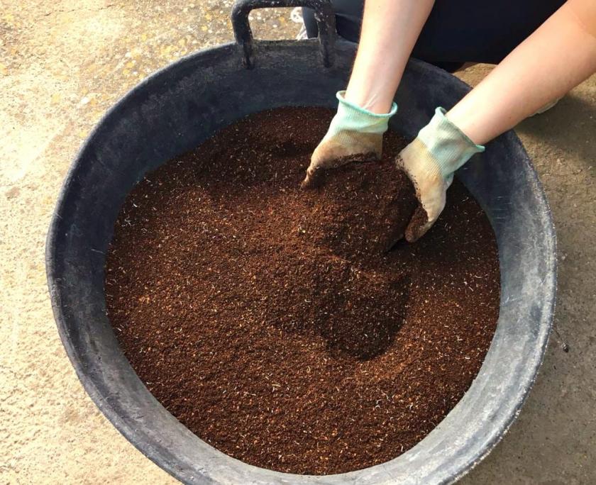 barreño con compost